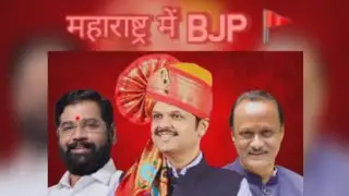 Maharashtra Local Body Election Results: किसकी जीत, किसकी हार ? #maharashtra 