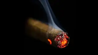 Charuto faz mal a saúde? Quantos Charutos posso fumar?