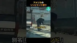アメリカのゾンビランド通り