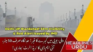 Dense Fog Alert: Delhi & UP Under Red Alert | IMD Forecast for February 5