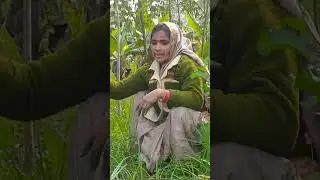 खेती किसान मेहनत से सब्सक्राइब करें 🙏 और हैप्पी 
