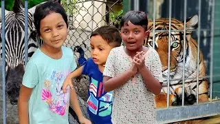 Arbin & Javan's Wild Day at Rangpur Zoo | Feeding Animals & Having Fun!