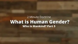 What is Human Gender? (Who is Mankind Part 5) | Two Minute Doctrine