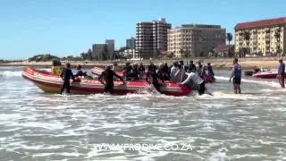 Pro Dive Charters in Port Elizabeth