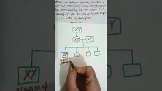 Pedigree chart|| Principle of Inheritance and Variation|| class 12th