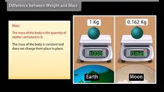 Gravitation | Class 9 | Science | Physics 