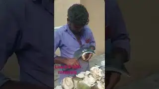 #Ice Apple # Nungu# Plam Fruit #Bangalore  Shorts#viral Shorts #Summer Special fruits