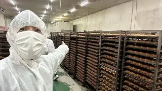 【フル】ラムーの自社製品工場を見学しに行ってみた