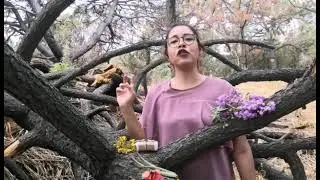 Nature Jabones Jessica Nazareth Martinez Mu&ntilde;oz
