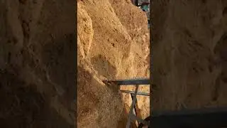 Cocopeat Powder