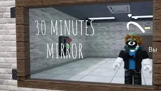 30 МИНУТ В MIRROR!