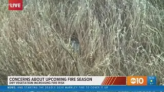 Dry vegetation increasing concern as fire season begins in California