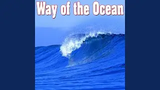 Peaceful Steady Ocean Waves with Seagull Calls