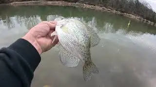 Crappie Fishing On FIRE! SHALLOW, ON PERCY PRIEST LAKE!!