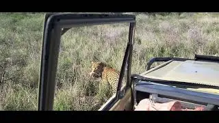 Dusternbrook Namibia