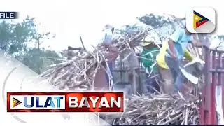 House leaders, tiniyak ang pag-agapay sa 12-K magtutubo na apektado sa pagsasara ng sugar...