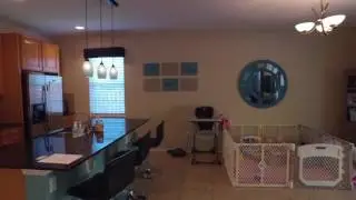 11813 walkthrough