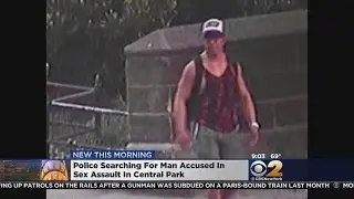 Central Park Attack