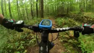 Flat Creek Loop - Aska Trails