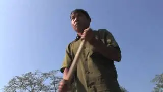 Chitwan Safari Park Nepal