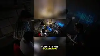 🌠 Звезда, которая отказывается умирать