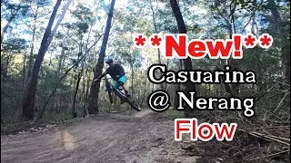Casuarina Explorer @ Nerang MTB