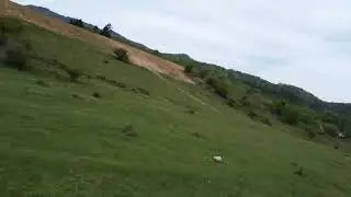 Mountain Majesty: Papa Roach's Last Resort Drone Adventure