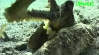 Joyas de las Profundidades - CASAS SUBMARINAS 2 (3/3)