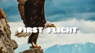 First Flight — The Moment That Changes Everything