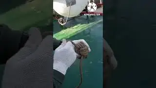 how to make monkey fist #rope work #marine #marchentnavy#shipwork