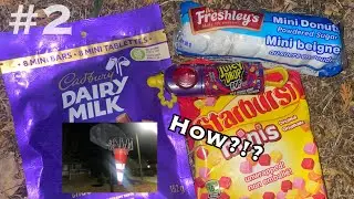 [#2] a traffic cone is stuck in my basketball net (+ convenience store trip)