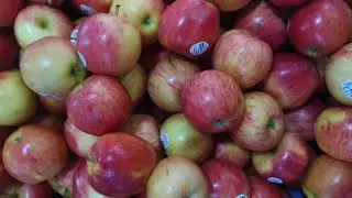 La Manzana (Frutas Colombianas parte #32)