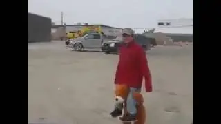 Amigo urso.