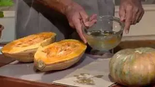 Central Florida Gardening - Calabaza Squash