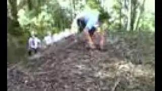 jesse's jump.. pap cats out