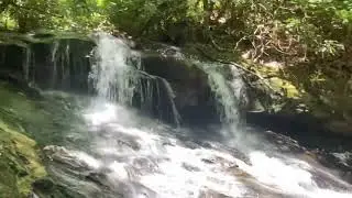 #105 Upper Log Hollow Falls