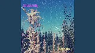 Teflonaleandr