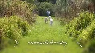 Wireless check cord