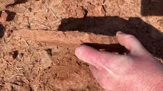 Fossilized evidence of an ancient stream