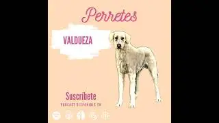 Ep73: Valdueza.