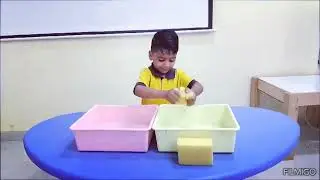 Children learn that sponges can absorb water.