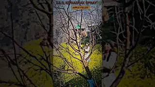 T.S.O SPRAY #nature #love