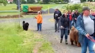 Wanderung ADKN-Landesgruppe Bayern in Eichenzell 2015