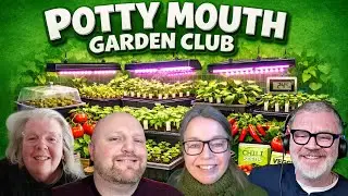 Seed Trays. Good or Bad? We delve deep into Pros and Cons