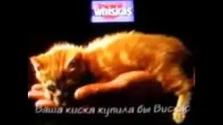 Whiskas commercial 90s Russia Ваша киска купила бы Вискас