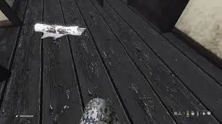 DayZ PS5 Stream 014 - Based_On_Cringe