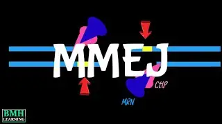 Microhomology Mediated End Joining | MMEJ |