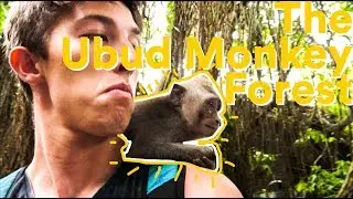 Bali Ubud Monkey Forest! (monkeys steal everything)