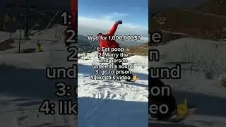 what would you do for 1mill #snow #ski #snowboarding #skiing #swissskiteam #skisunday #swissski
