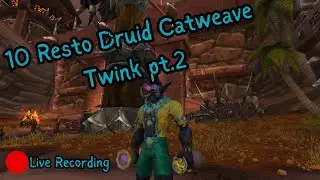 Wrapping up final pieces for the catweave twink before I make a guide for it.